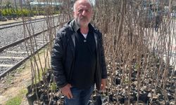 Batmanlıların Yeni Gözdesi: Cennet Hurması