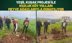 "Yeşil Kuşak Projesi" ile Kozluk Köy Yolları Meyve Ağaçlarıyla Donatılıyor