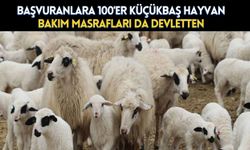 Başvuranlara 100er küçükbaş hayvan, bakım masrafları da devletten