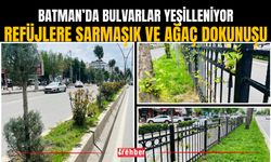 Batman’da Bulvarlar Yeşilleniyor: Refüjlere Sarmaşık Ve Ağaç Dokunuşu