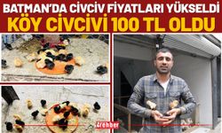Batman’da Civciv Fiyatları Yükseldi Köy Civcivi 100 TL Oldu