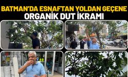 Batman’da Esnaftan Yoldan Geçene Organik Dut İkramı