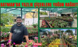 Batman’da Yazlık Çiçeklere Yoğun Rağbet