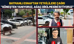 Batmanlı Esnaftan Yetkililere Çağrı: "Güneşten Yanıyoruz, Ağaç Dikilmesini İstiyoruz"
