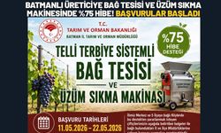 Batmanlı Üreticiye Bağ Tesisi ve Üzüm Sıkma Makinesinde %75 Hibe! Başvurular Başladı