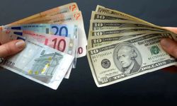 Döviz güne yükselişle başladı: Dolar 45,60 TL seviyesinde