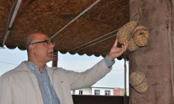 Hasır Kuş Yuvaları Eski Günlerin Sıcaklığını Yaşatıyor
