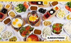 GIDA ÜRÜNLERİ SATIN ALINACAKTIR