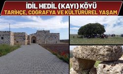 İdil Hedil ( Kayı) Köyü - Tarihçe, Coğrafya ve Kültürürel Yaşam