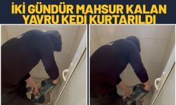 İki Gündür Mahsur Kalan Yavru Kedi Kurtarıldı