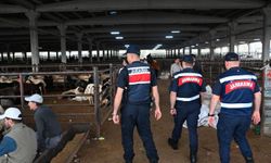 Kurban satış yerlerinde drone destekli güvenlik önlemi