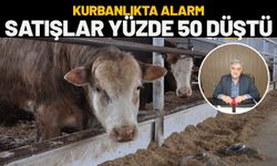 Kurbanlıkta Alarm: Satışlar Yüzde 50 Düştü