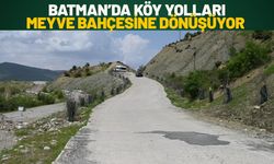 Batman’da Köy Yolları Meyve Bahçesine Dönüşüyor
