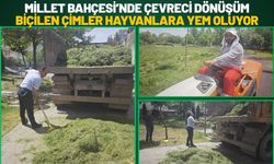 Millet Bahçesi’nde Çevreci Dönüşüm: Biçilen Çimler Hayvanlara Yem Oluyor