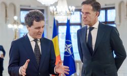 Romanya'da Rus İHA'sı düştü: NATO'dan daynışma mesajı