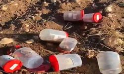 Şanlıurfa Valiliği mezarlıkta bulunan cenin ve uzuvlarla ilgili inceleme başlattı
