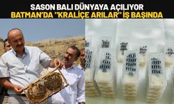 Sason Balı Dünyaya Açılıyor: Batman’da "Kraliçe Arılar" İş Başında