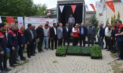 Siirt'te 70 bin sebze fidesi çiftçilere dağıtıldı