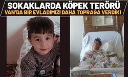 Sokak Köpekleri Van’da Bir Çocuğu Parçaladı Birini de Ağır Yaraladı!