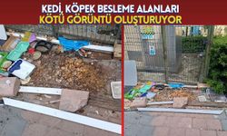 Kedi, Köpek Besleme Alanları Kötü Görüntü Oluşturuyor