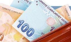 Yurt dışındaki kazancını Türkiye'ye getirene 20 yıl vergi istisnası