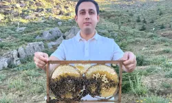 Sason Balında Hasat Zamanı