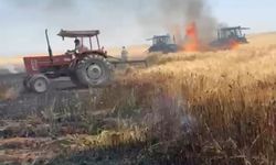 Li Mêrdînê agir bi 500 donim zeviyên çandiniyê ket