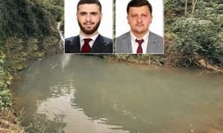 Artvin'de imam ve müezzin girdikleri gölette boğuldu
