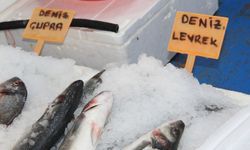 Balık sezonu bitti: Tezgahlarda çupra, levrek, somon ve alabalık var