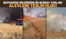 Batman'da 150 Dönümlük Buğday Tarlası Alevlere Teslim Oldu!
