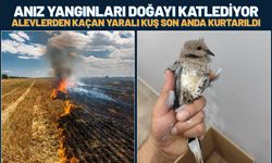Batman'da Anız Yangınları Doğayı Katlediyor: Alevlerden Kaçan Yaralı Kuş Son Anda Kurtarıldı