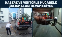 Batman'da Haşere ve Vektörle Mücadele Çalışmaları Devam Ediyor