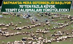 Batman’da Mera Seferberliği Başlıyor: 70’ten Fazla Köyde Tespit Çalışmaları Yürütülecek!