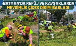 Batman’da Refüj ve Kavşaklarda Mevsimlik Çiçek Dikimi Başladı