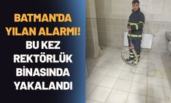Batman'da Yılan Alarmı! Bu Kez Rektörlük Binasında Yakalandı