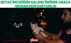 Beyaz İnci Düğün Salonu Önünde Araca Sıkışan Kedi Kurtarıldı