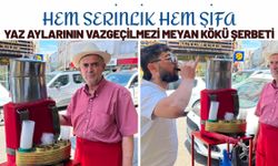 Hem Serinlik Hem Şifa: Yaz Aylarının Vazgeçilmezi Meyan Kökü Şerbeti