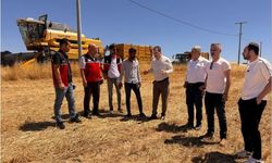 İl Müdürü Tuncer: "Anız ve Biçerdöver Kontrolleri Sahada Tavizsiz Sürüyor"