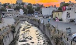 İluh Deresi'nde Yosun ve Koku Sorunu: Mahalle Sakinleri Çözüm Bekliyor