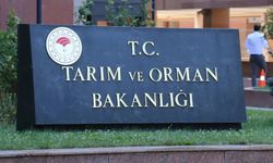 İşgal rejimi sözde ordusu Gazze'de aileleri hedef aldı