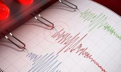 Japonya'da 6,9 büyüklüğünde deprem