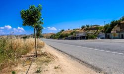 Köylülerden Yeşil Kuşak’a İmece Desteği