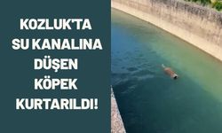 Kozluk'ta Su Kanalına Düşen Köpek Kurtarıldı!