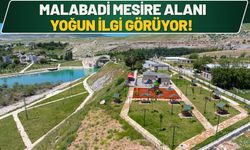 Malabadi Mesire Alanı Yoğun İlgi Görüyor!