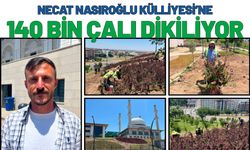 Necat Nasıroğlu Külliyesi’ne 140 Bin Çalı Dikiliyor
