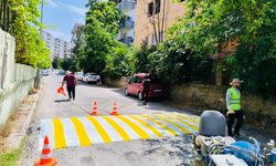 Batman'da 1.785 Kasis Yeniden Boyanıyor