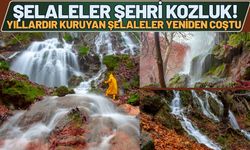 Şelaleler Şehri Kozluk! Yıllardır Kuruyan Şelaleler Yeniden Coştu