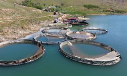 Su ürünlerinde sürdürülebilirlik için Ulusal Eylem Planı yayımlandı