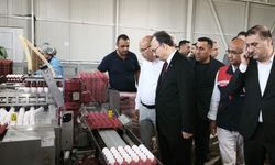 Vali Kızılkaya’dan Garzan Yumurta Tesisine Ziyaret