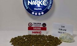Yalova'da uyuşturucu operasyonu: 1 tutuklama